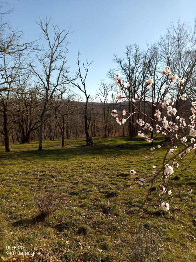Location Gite Proche Gourdon Saint-Cirq-Souillaguet Zewnętrze zdjęcie